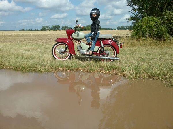 Angefgtes Bild