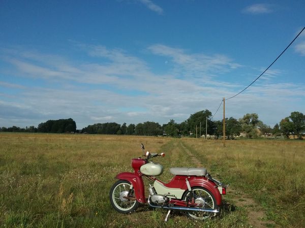 Angefgtes Bild