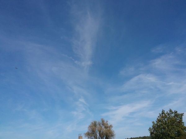 Angefgtes Bild