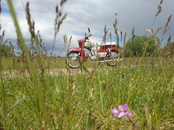 Angef�gtes Bild