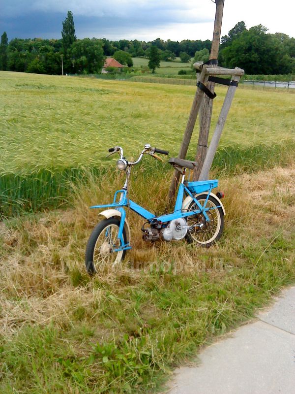 Angefgtes Bild