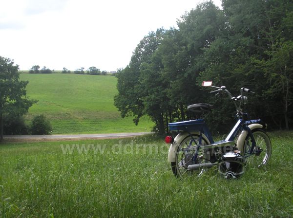 Angefgtes Bild