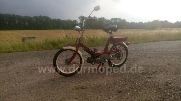 Angefügtes Bild