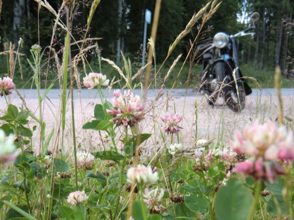 Angefgtes Bild