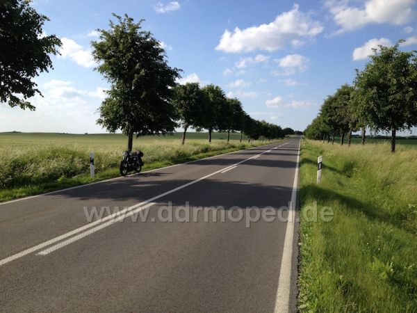 Angefgtes Bild