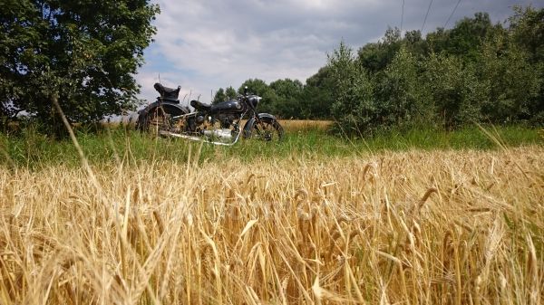 Angefgtes Bild