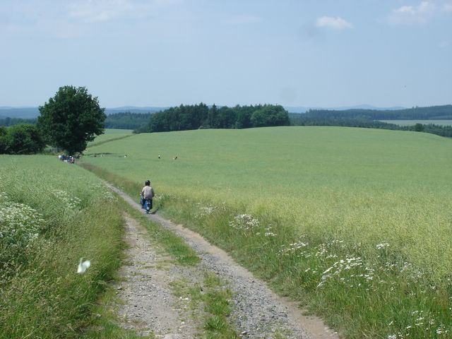Angefgtes Bild