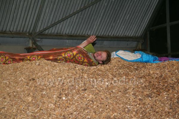 Angefgtes Bild