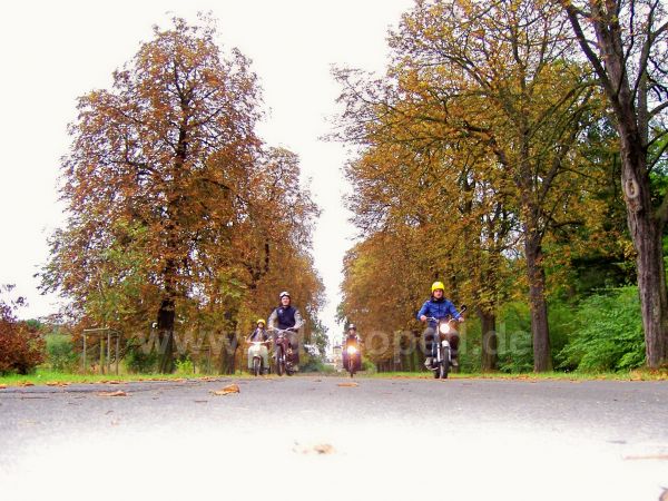 Angefgtes Bild