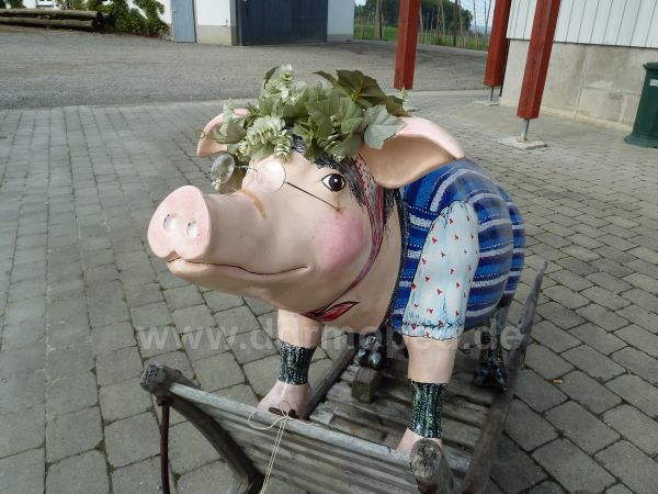 Angefgtes Bild