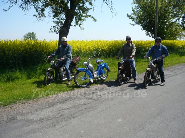 Angefgtes Bild