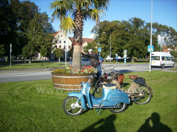 Angefgtes Bild