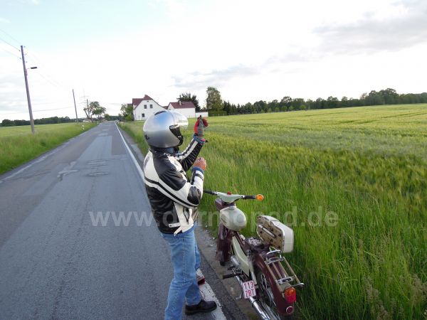 Angefgtes Bild