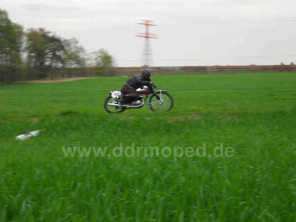 Angefgtes Bild