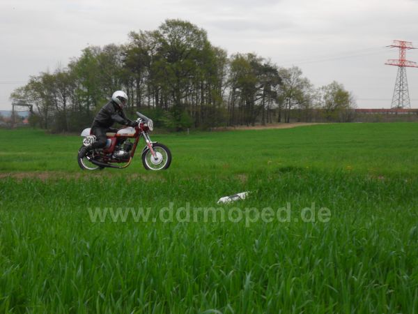 Angefgtes Bild