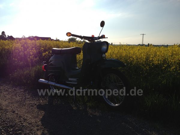 Angefgtes Bild