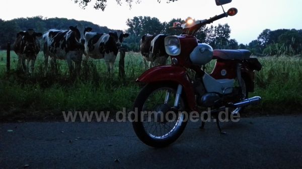 Angefgtes Bild