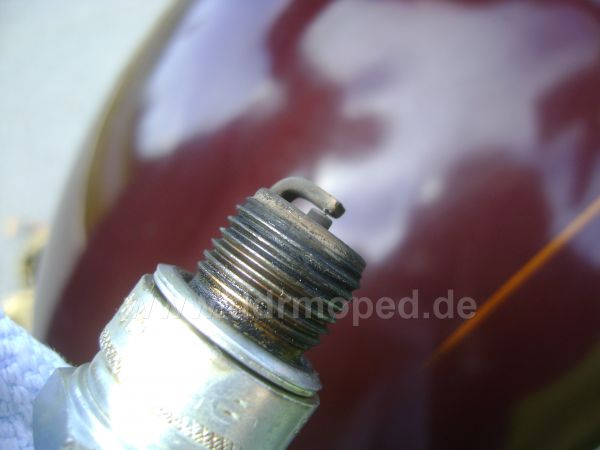 Angefügtes Bild