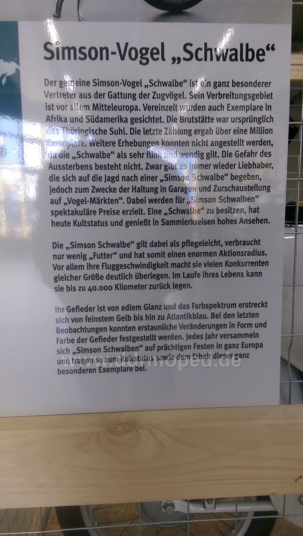 Angefgtes Bild