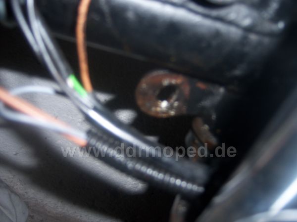 Angefgtes Bild