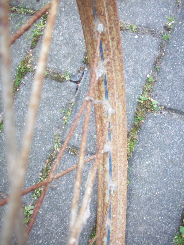 Angefgtes Bild