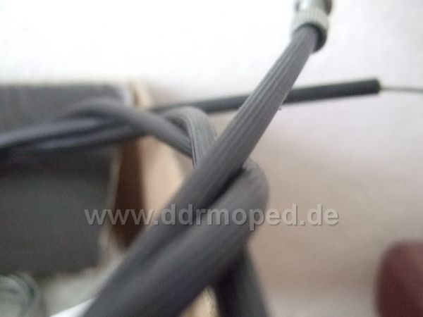 Angefgtes Bild
