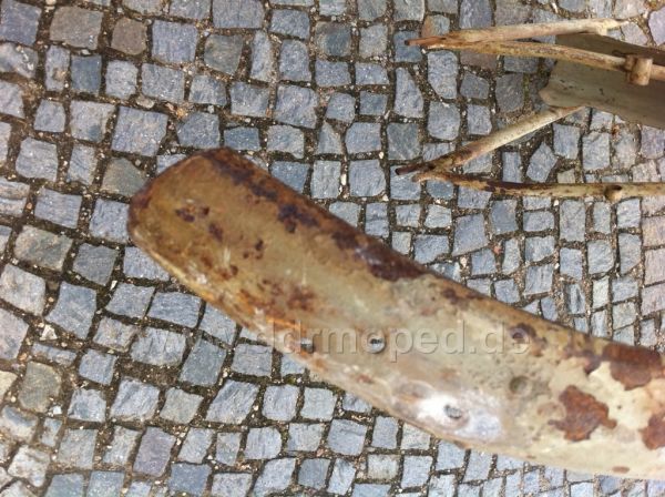 Angefgtes Bild