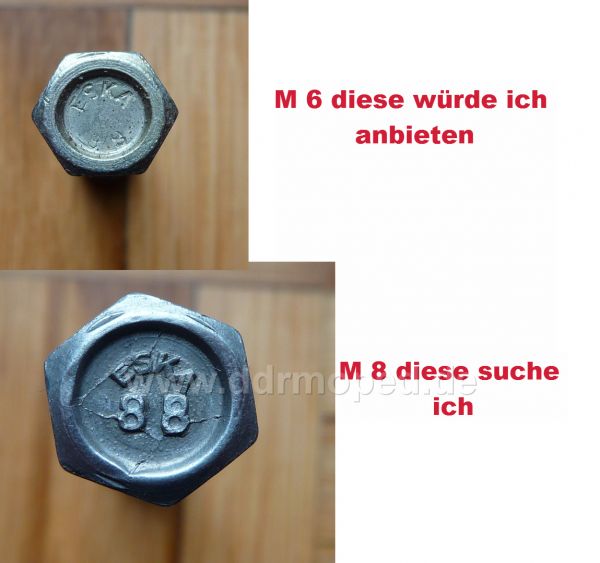 Angefgtes Bild