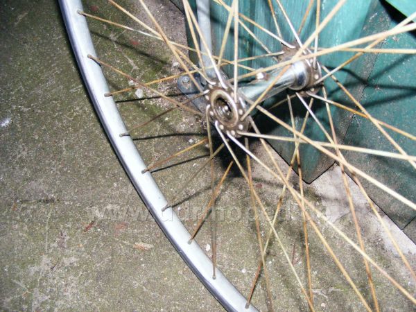 Angefügtes Bild