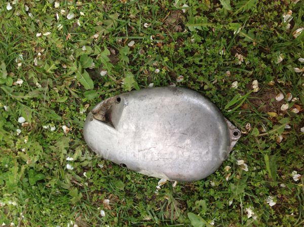Angefügtes Bild