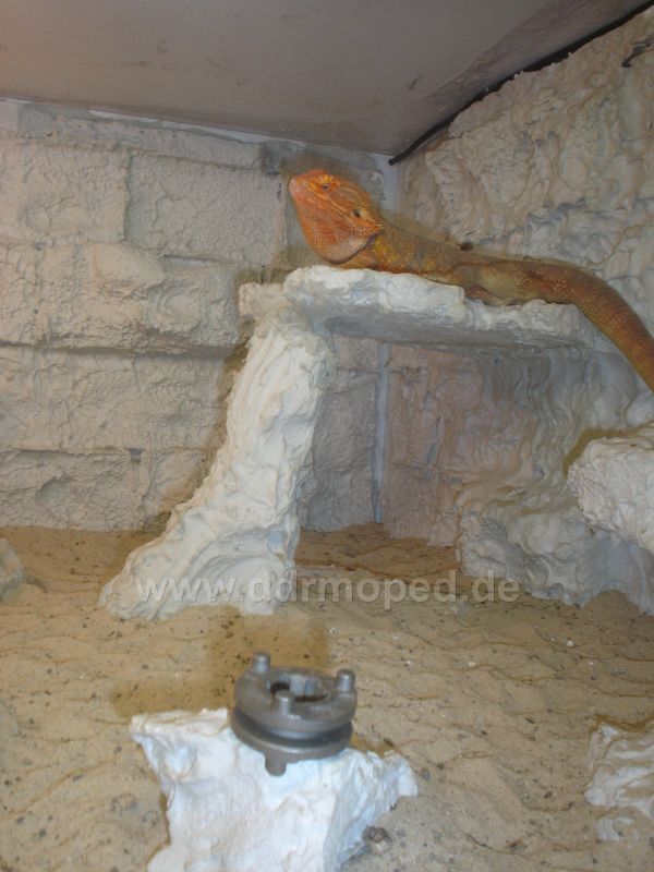 Angefügtes Bild