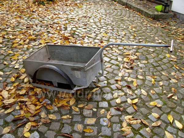 Angefügtes Bild