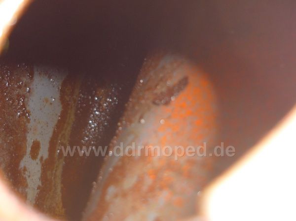 Angefgtes Bild
