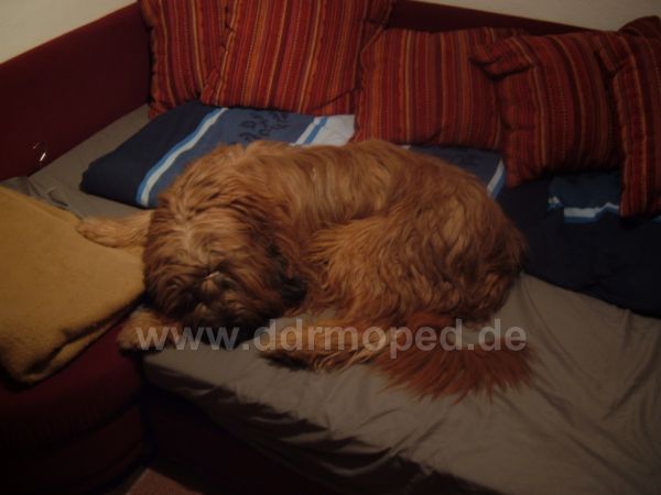 Angefügtes Bild