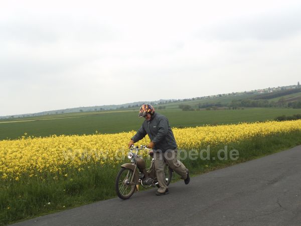 Angefgtes Bild