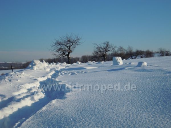 Angefgtes Bild