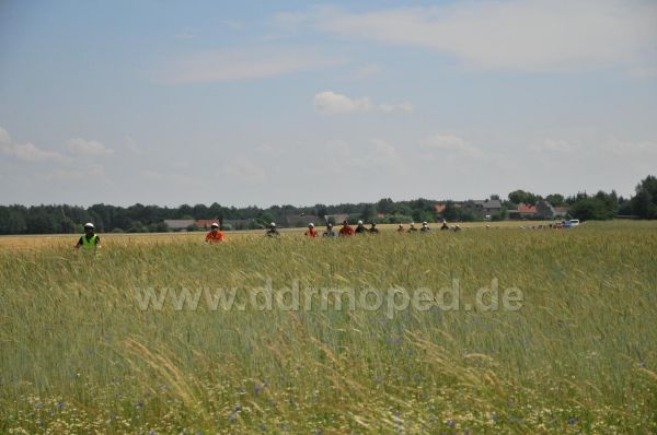 Angefgtes Bild