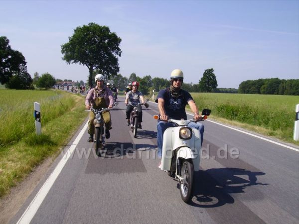 Angefgtes Bild
