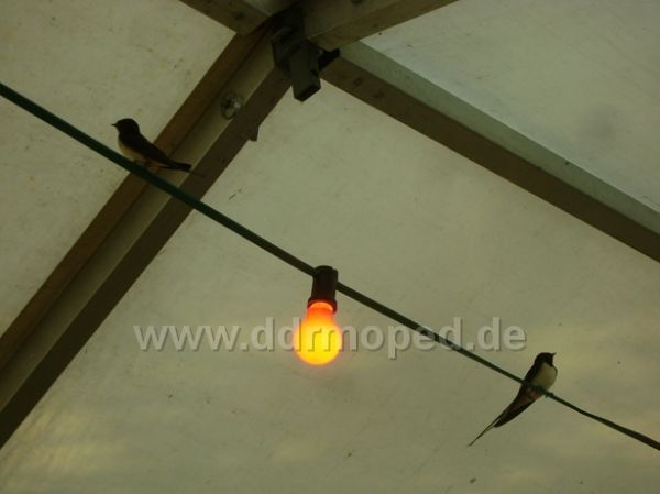 Angefügtes Bild
