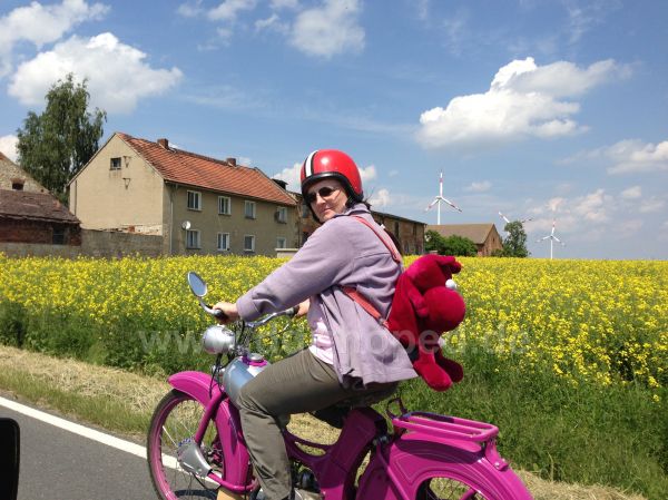 Angefgtes Bild