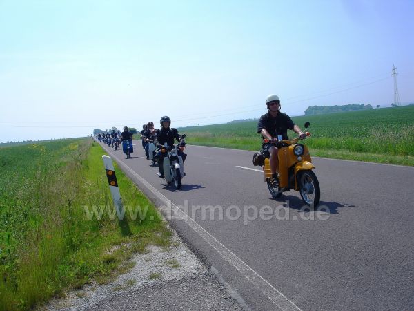 Angefgtes Bild