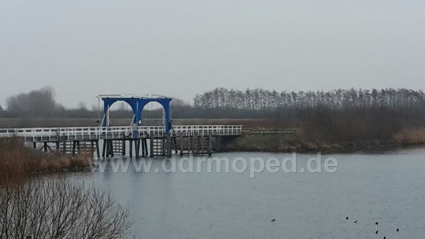 Angefgtes Bild