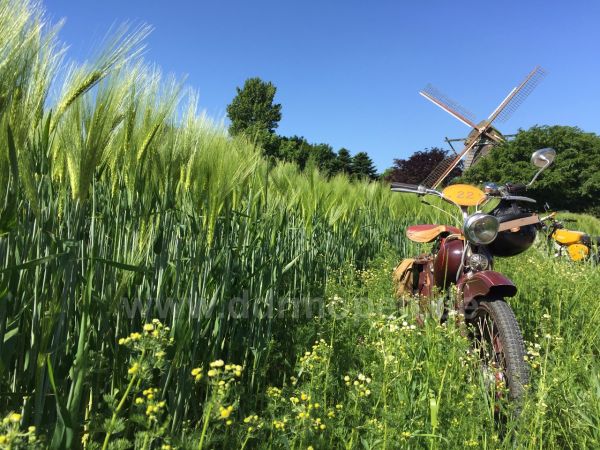 Angefgtes Bild