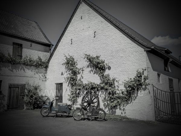 Angefgtes Bild