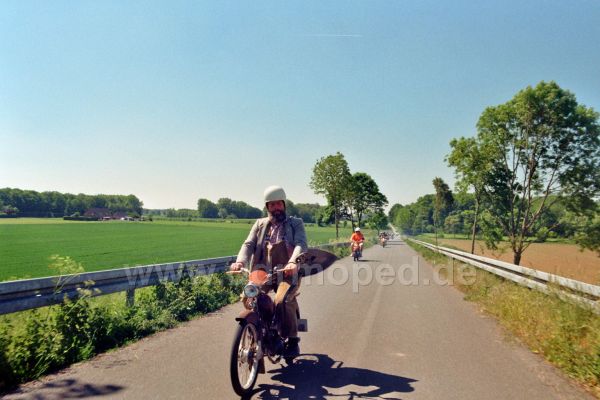 Angefgtes Bild