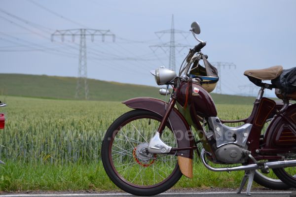 Angefgtes Bild