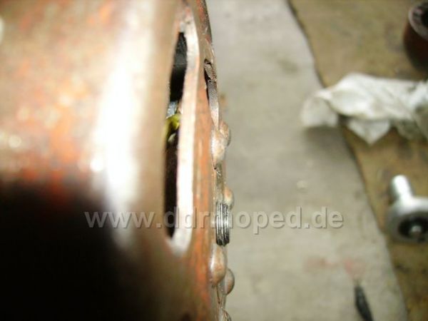 Angefügtes Bild
