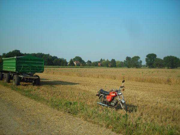 Angefgtes Bild