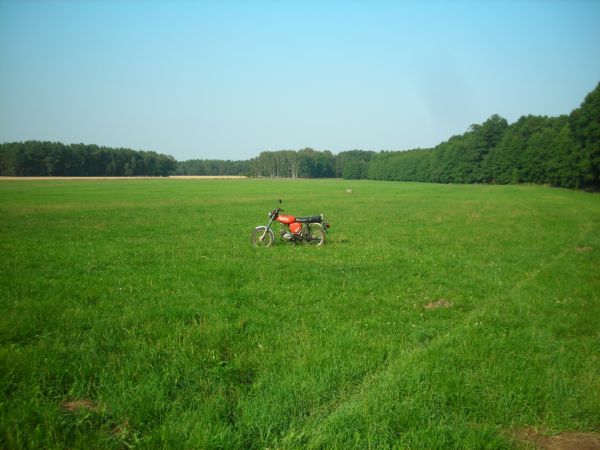 Angefgtes Bild