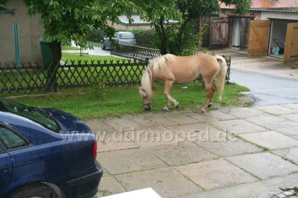 Angefgtes Bild